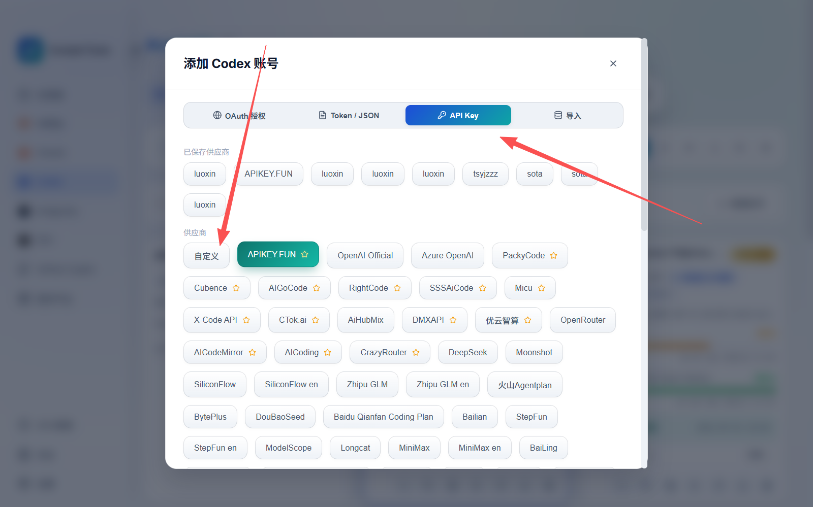 选择 API Key 和自定义供应商